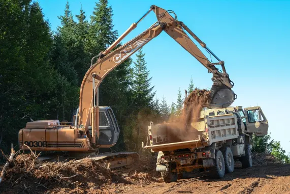 カジノ ピザズ ビンゴ サポート